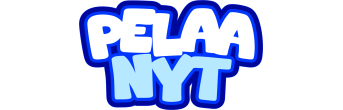 pelaanyt banner