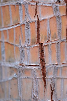 Parhaat vedonlyöntitarjoukset 2026