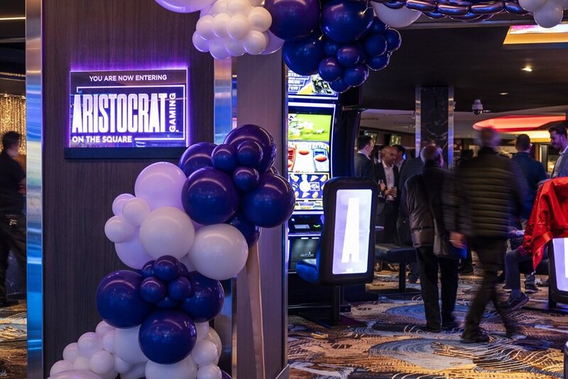 Istuva Leijonakasino: Perusteet Ja Pelaamisen Kohteet