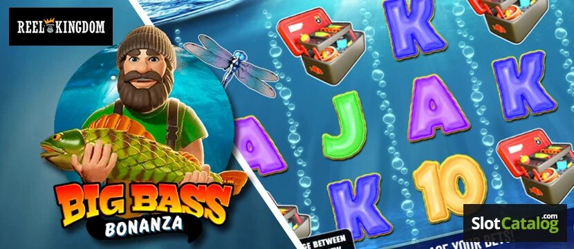 Musta Op Kortti: Tietoa Ja Käyttötarkoituksia