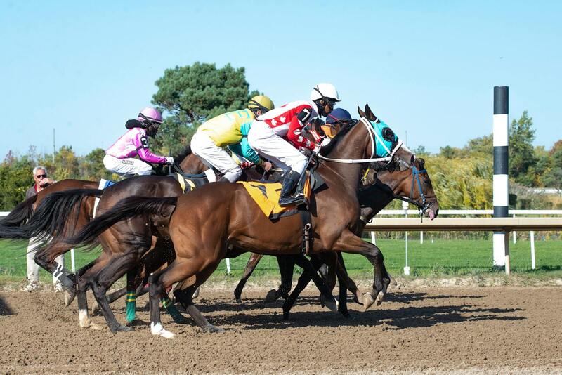 Videopokerit: Tietoa Ja Strategioita Suomalaisille Pelaajille